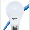 Led5W