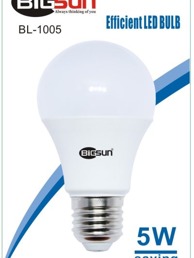 Led5W