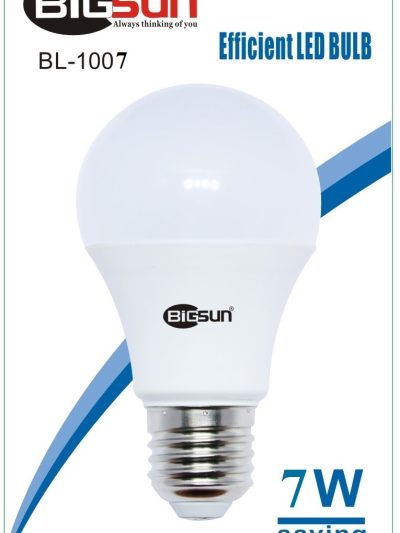 Led7W