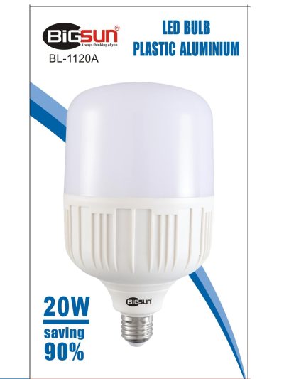 led20W