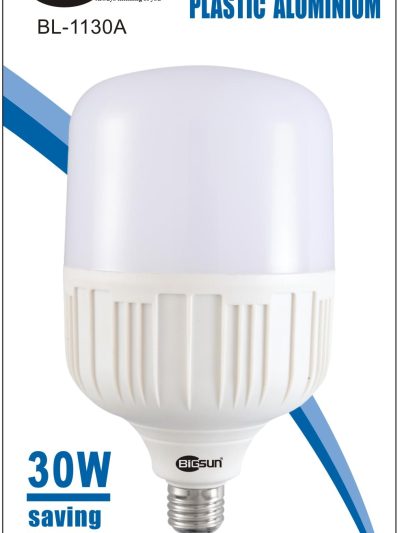 led30W