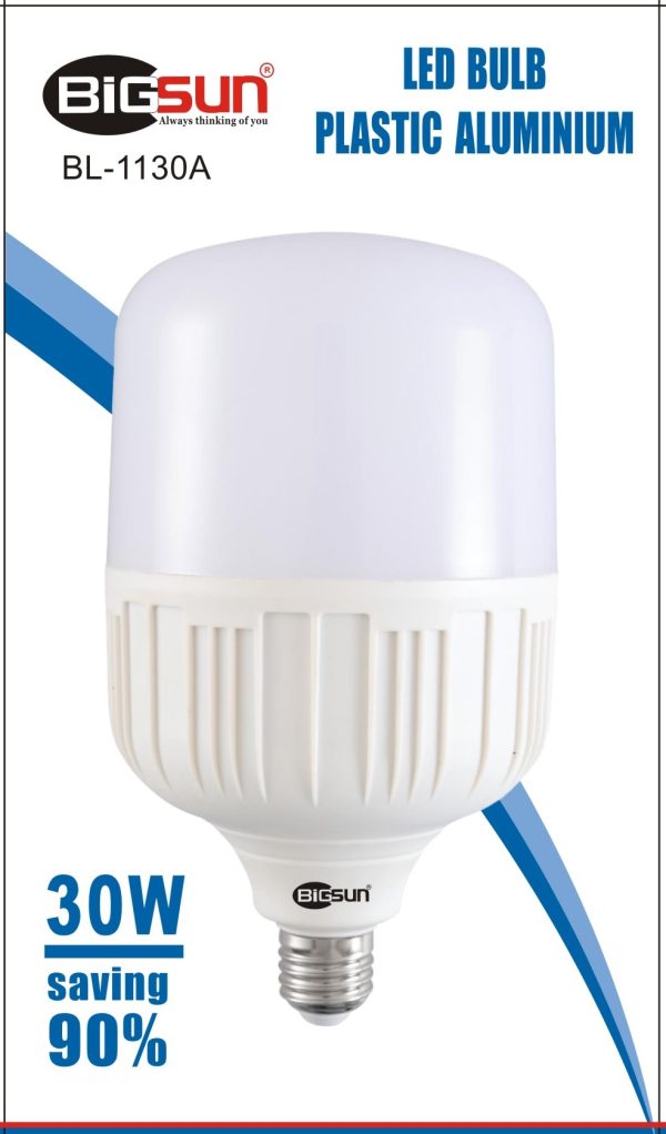 led30W
