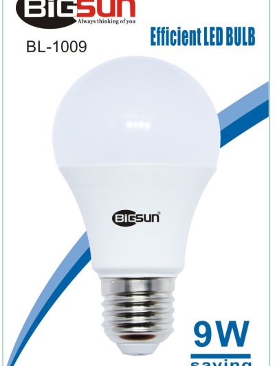 led9W