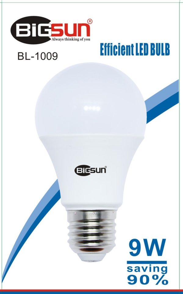 led9W